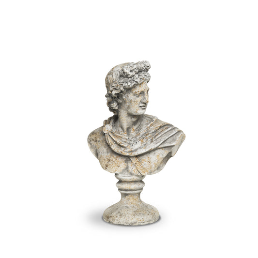 Bust roman bărbat H 30 cm