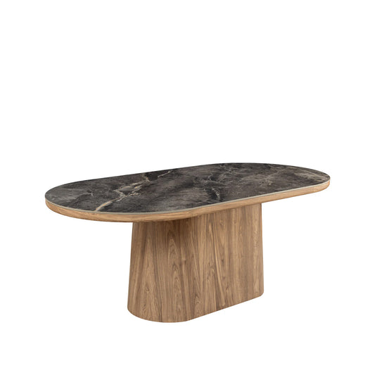 Masă dining ELVA 200x100 cm