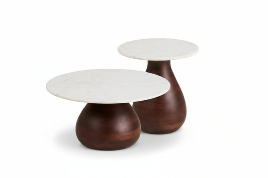 Set 2 mese cafea VERN